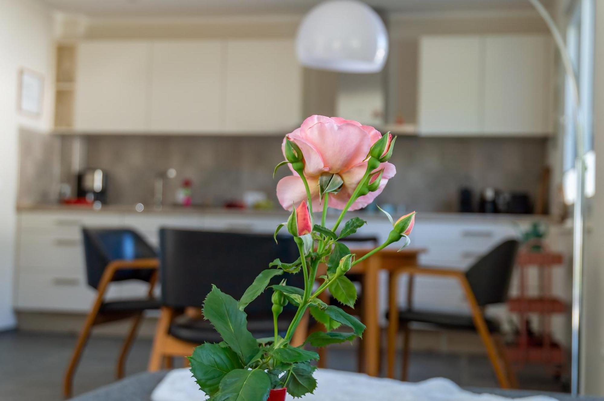 Ferienwohnung Wurzelecht Bad Neuenahr-Ahrweiler Extérieur photo